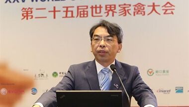 【搜狐】一(yi)枚放心雞蛋需要突破三大(da)矛盾