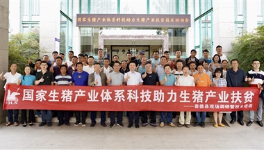 如何養豬緻富(fu)？科(ke)學(xué)傢(jia)們這樣說……