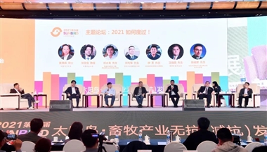 2021如何度過(guo)？鐵騎力(li)士集(ji)團(tuán)運營(ying)總裁鄧先(xian)鋒在(zai)&ldquo;太陽(yáng)鳥&rdquo;